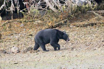 IMG_0812