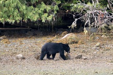 IMG_0811