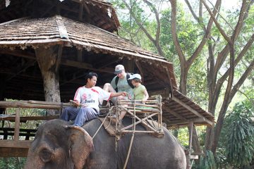 IMG_0497.jpg