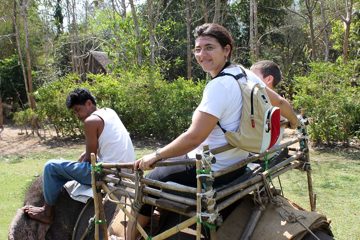 IMG_0517.jpg