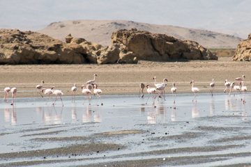 IMG_6942
