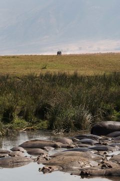 IMG_6314