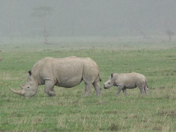100_1443.jpg