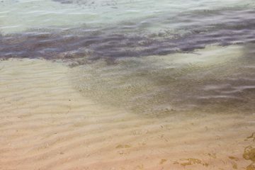 IMG_5593