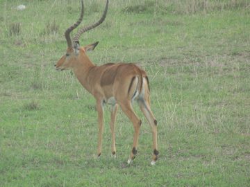 100_1424.jpg