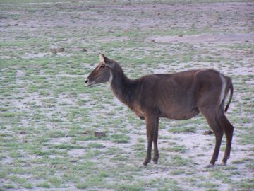 100_1268.jpg
