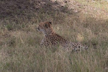 IMG_7719