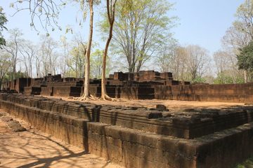 IMG_0613.jpg