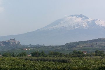 100_2201.jpg