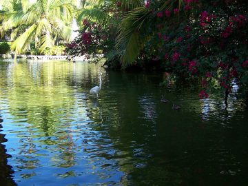 100_2623.jpg