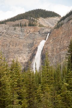 IMG_0481