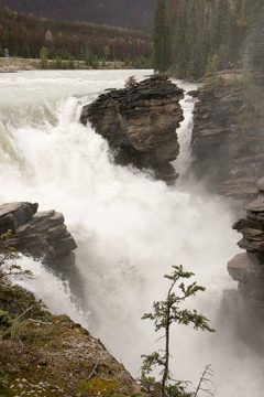 IMG_0088