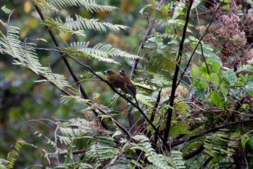 22022012-219.jpg