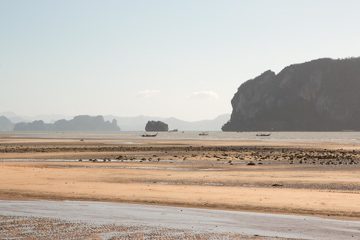 IMG_1039