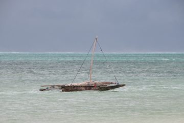 IMG_7917