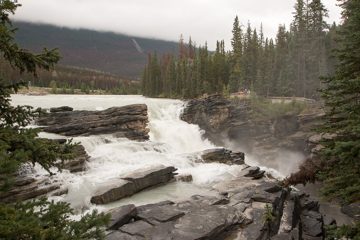 IMG_0087