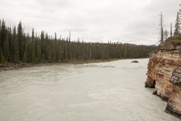 IMG_0107