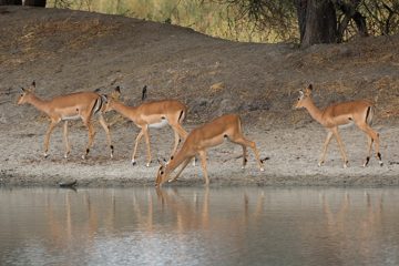 IMG_5943