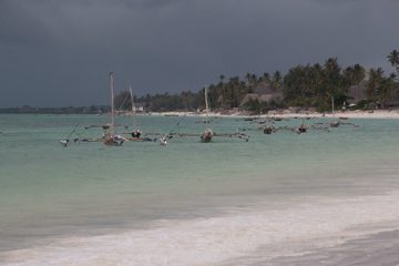 IMG_7928