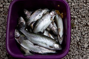 09082013-54.jpg