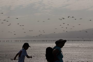 IMG_6913