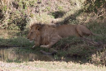 IMG_7536
