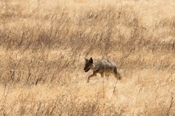 IMG_6276