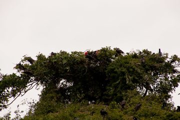 05032013-44.jpg