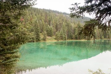 IMG_0061