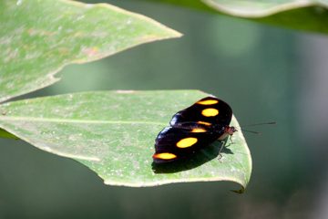 19022012-38.jpg