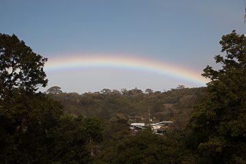 IMG_8725
