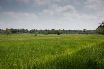 15022014-31