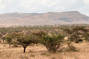 IMG_7206