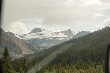 IMG_0354