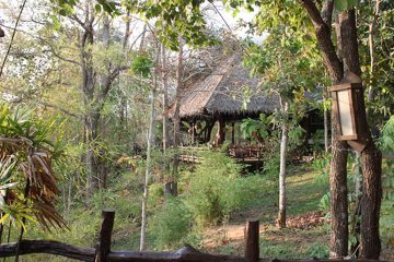 IMG_0570.jpg