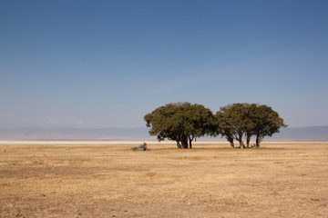 P-IMG_6467-2