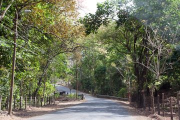 26022012-129.jpg