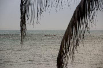 IMG_5445