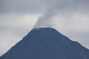 IMG_2654.jpg