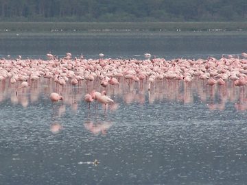 100_1388.jpg
