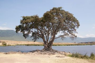 P-IMG_6453-2