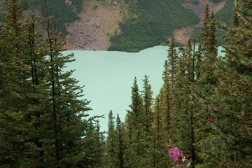 IMG_0221
