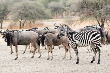 IMG_5940