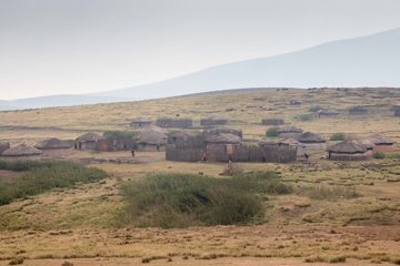 IMG_6495