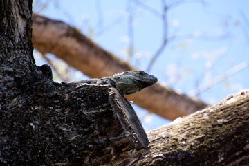 28022012-139.jpg