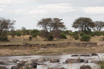 IMG_7738