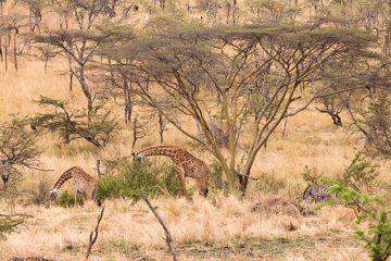 IMG_7197