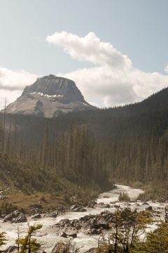 IMG_0505