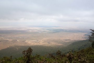 P-IMG_6416-2