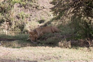 IMG_7530
